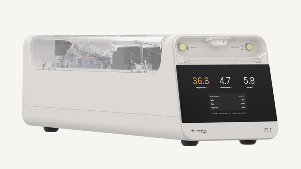 Brain-as-A-Service que comenzará antes de 2026, impulsado por células cerebrales humanas fusionadas con hardware de silicio