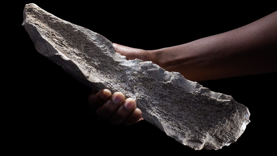 La caché de la herramienta ósea prehistórica sugiere un razonamiento avanzado en los homínidos tempranos