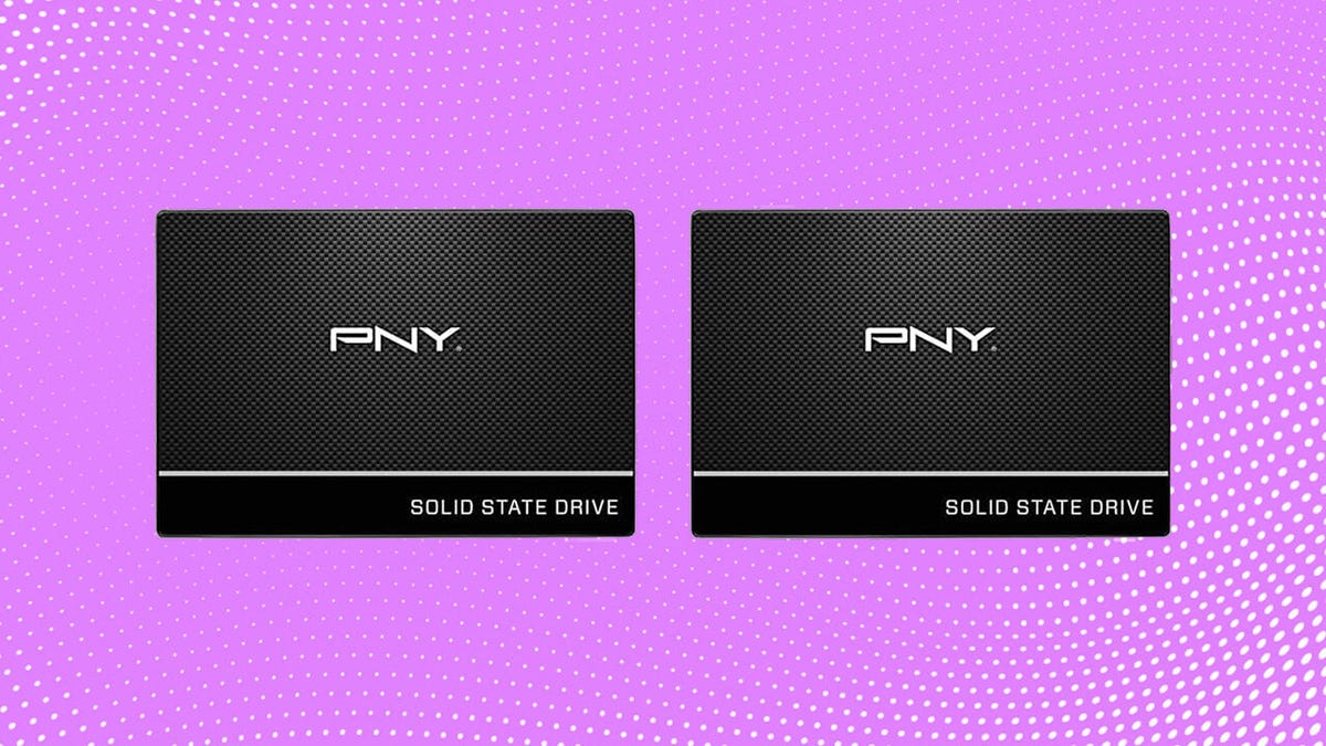 Spring Sale Bogo Deal: Obtenga dos SSD de laptop PNY por el precio de uno en Amazon