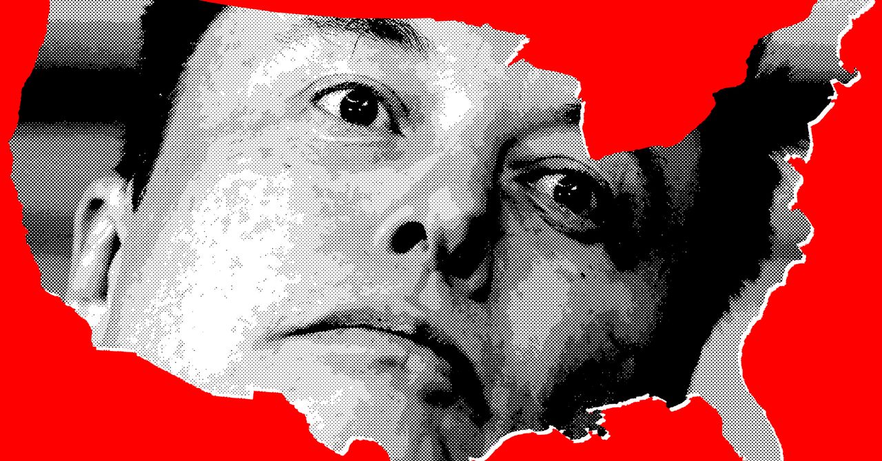 Los Estados Unidos de Elon Musk Inc.