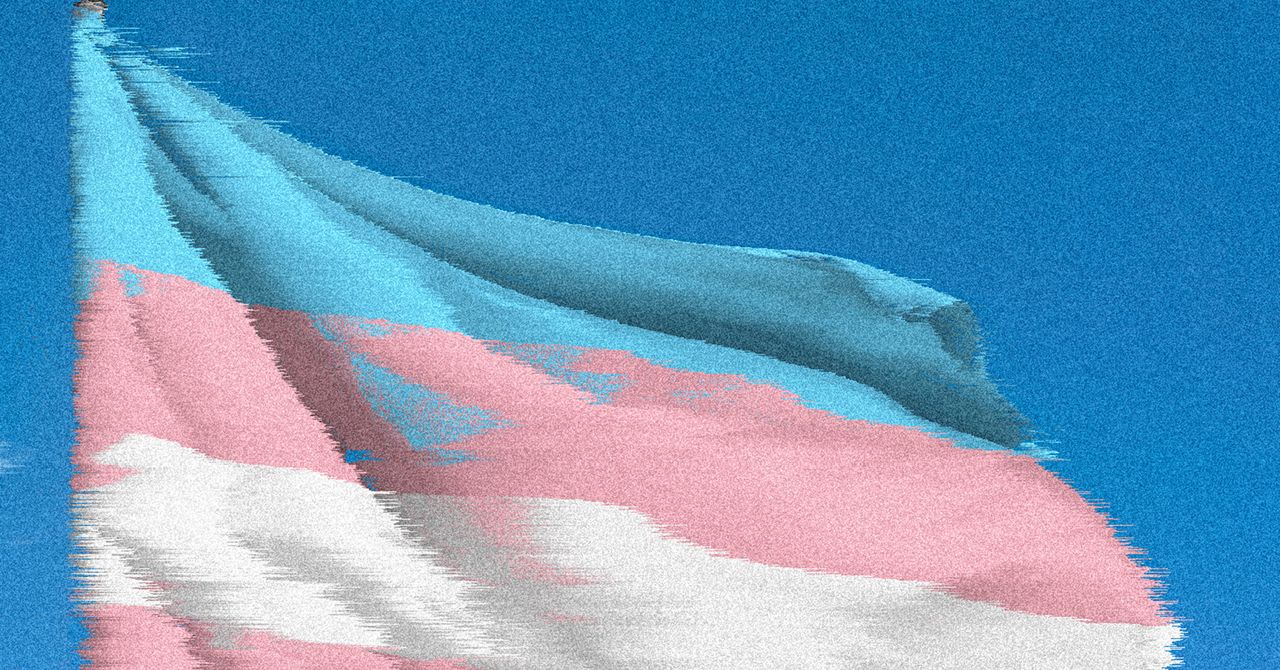 Los investigadores se apresuran a salvar los datos del gobierno de los Estados Unidos sobre los jóvenes trans, antes de que desaparezca