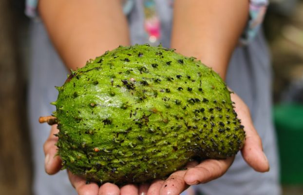 El súper fruito «anticancerígeno» que de repente tiene muchos fanáticos nuevos