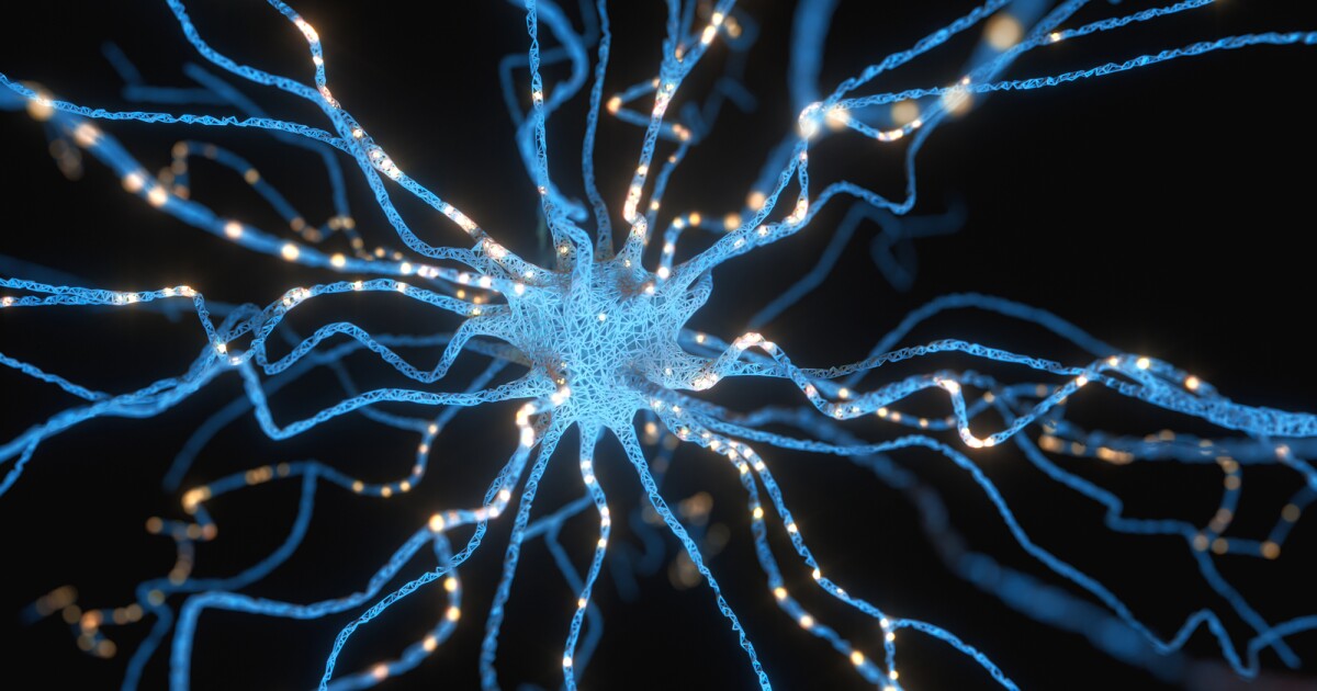 La conversión directamente de las células de la piel en células cerebrales produce 1,000% de éxito