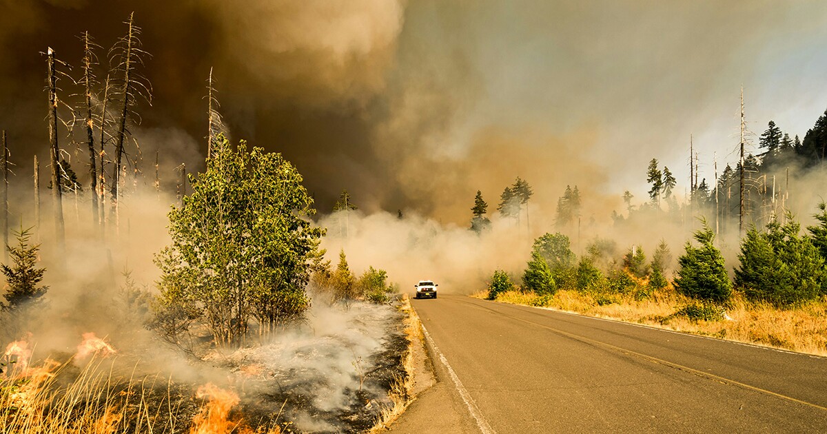 El primer satélite de Google para detectar incendios está ahora en órbita