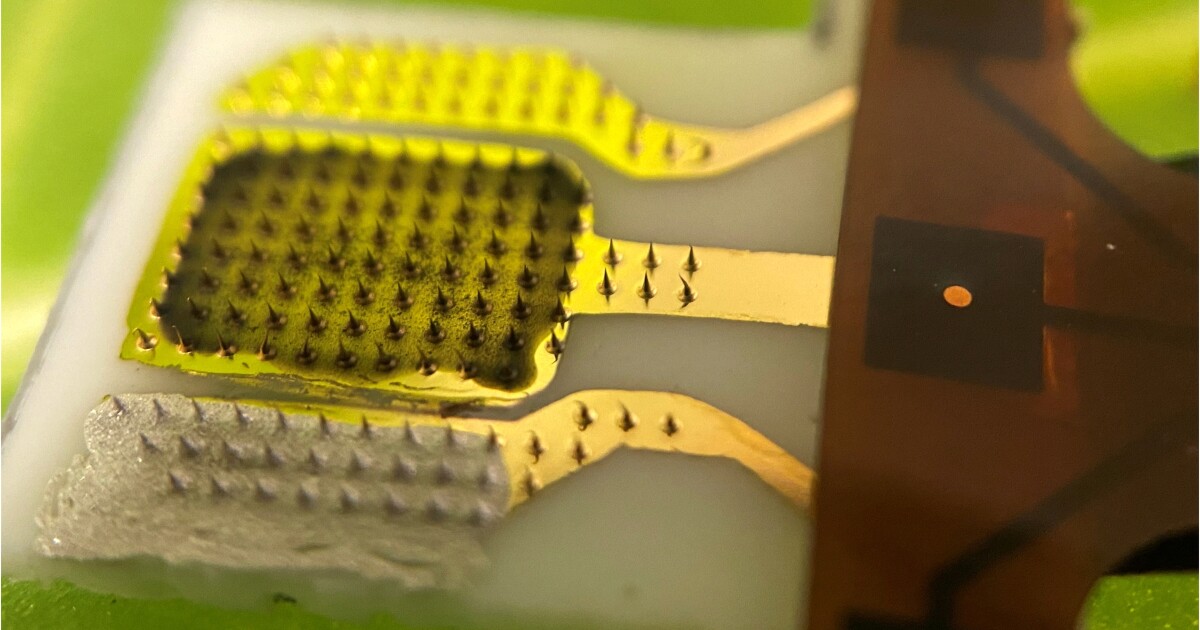 El sensor inteligente empuja las hojas de las plantas para que los agricultores sepan si están estresados