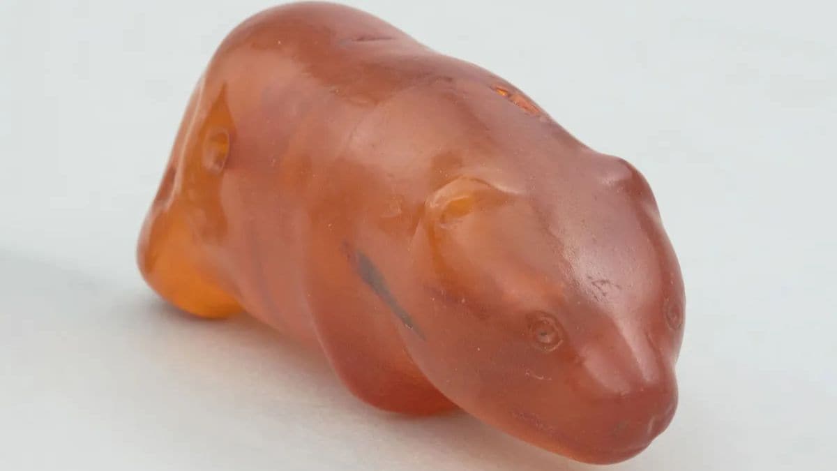 Figura de oso antiguo de Amber de Polonia vinculada a las creencias de la Edad de Piedra