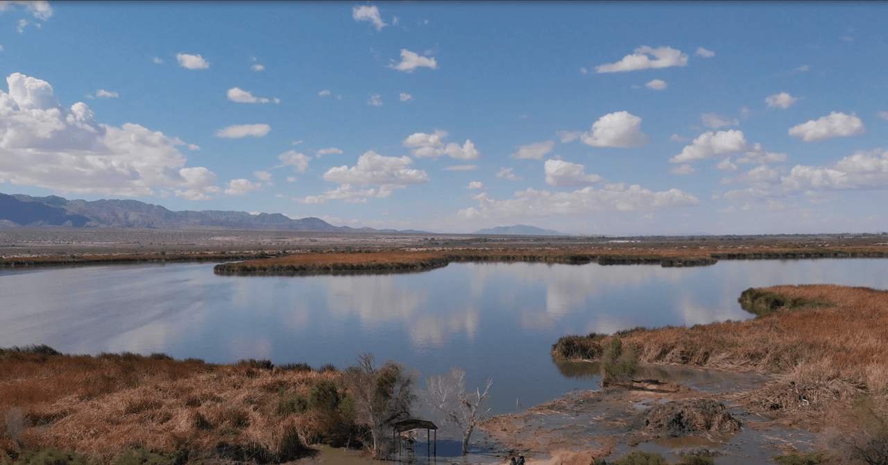 Este humedal artificial está reutilizando las aguas residuales para revivir un ecosistema perdido