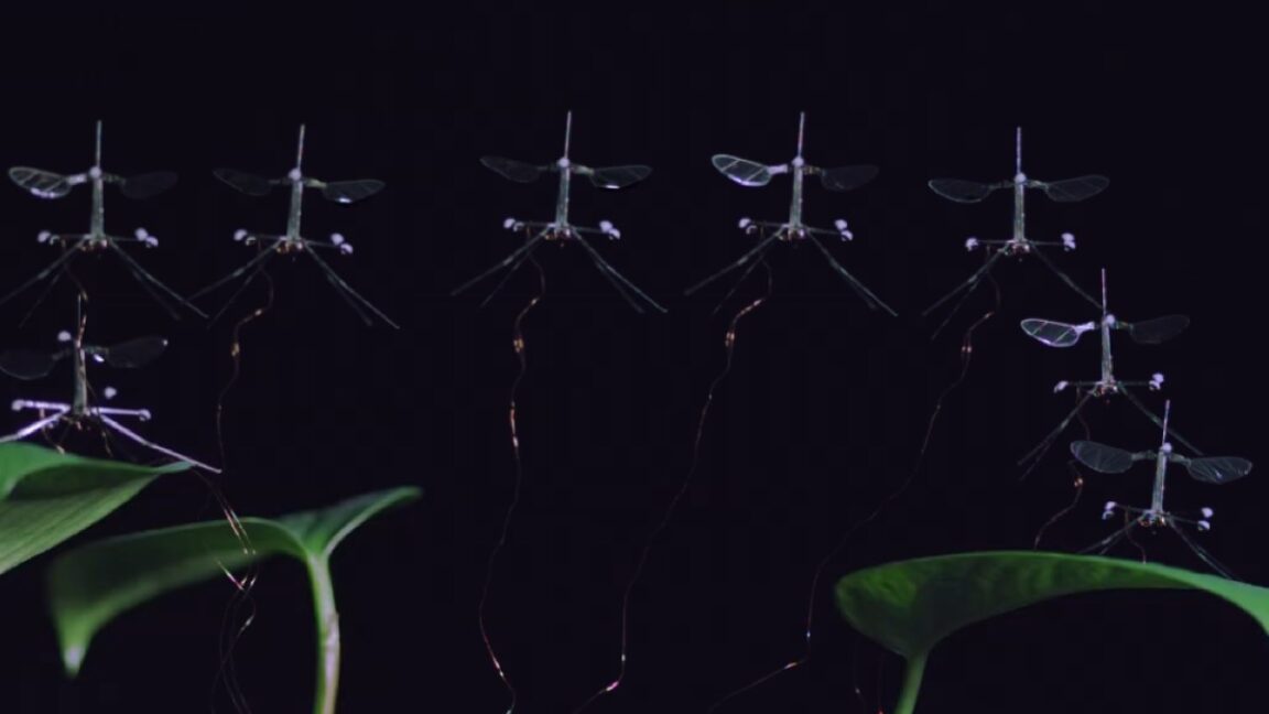 Robobee pega el aterrizaje – Ars Technica