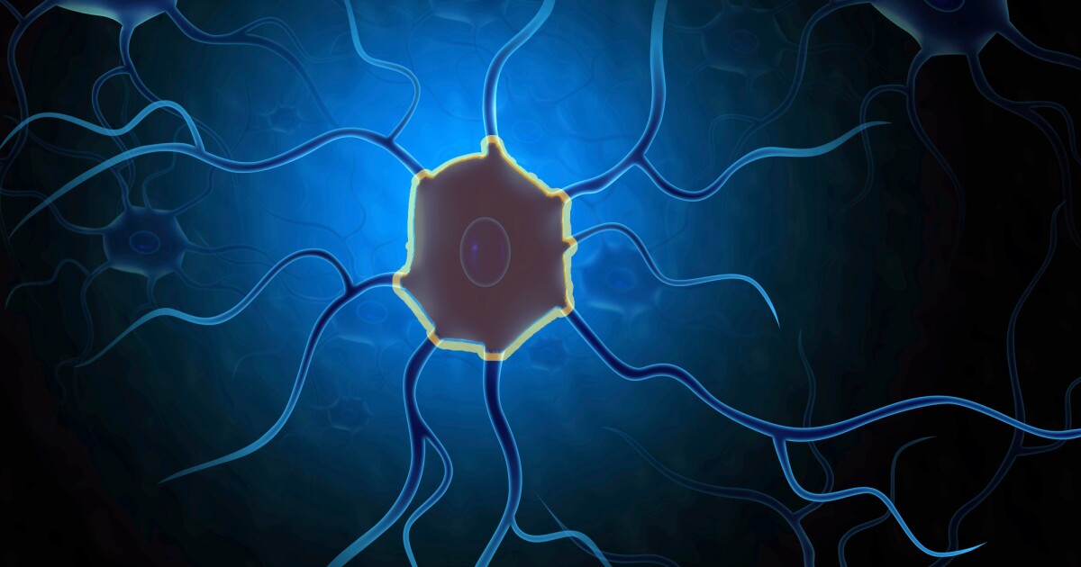La capa de invisibilidad ayuda a las células cerebrales trasplantadas a evadir el sistema inmune