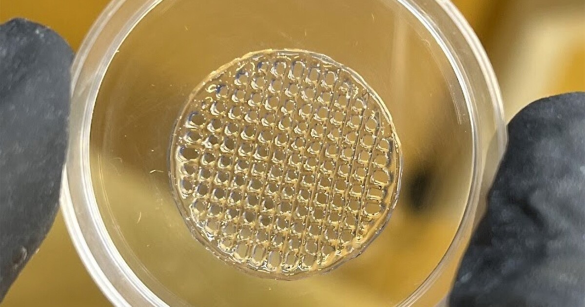 La piel impresa en 3D podría reemplazar las pruebas con animales para cosméticos