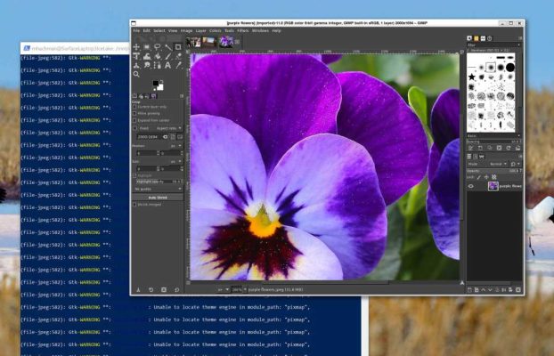 El subsistema de Windows para Linux se convierte en código abierto – ComputerWorld