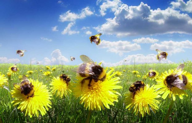 CloudBees presenta la plataforma DevOps mejorada con AI