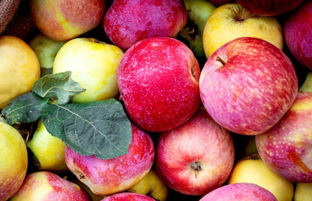 Los aranceles de Trump amenazan la cadena de suministro de jugo de manzana de Estados Unidos