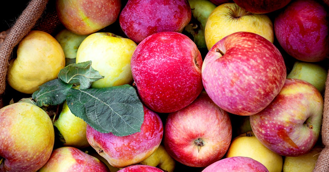Los aranceles de Trump amenazan la cadena de suministro de jugo de manzana de Estados Unidos