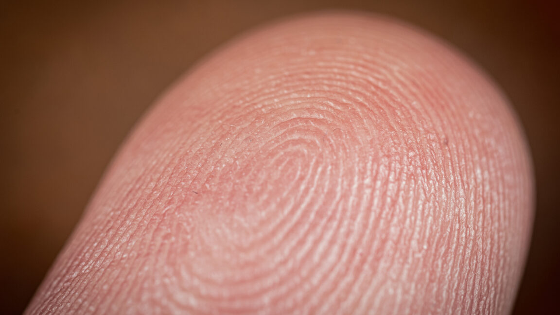 Hemos alcanzado la etapa de «dedos y secuestros cortados» de la revolución criptográfica