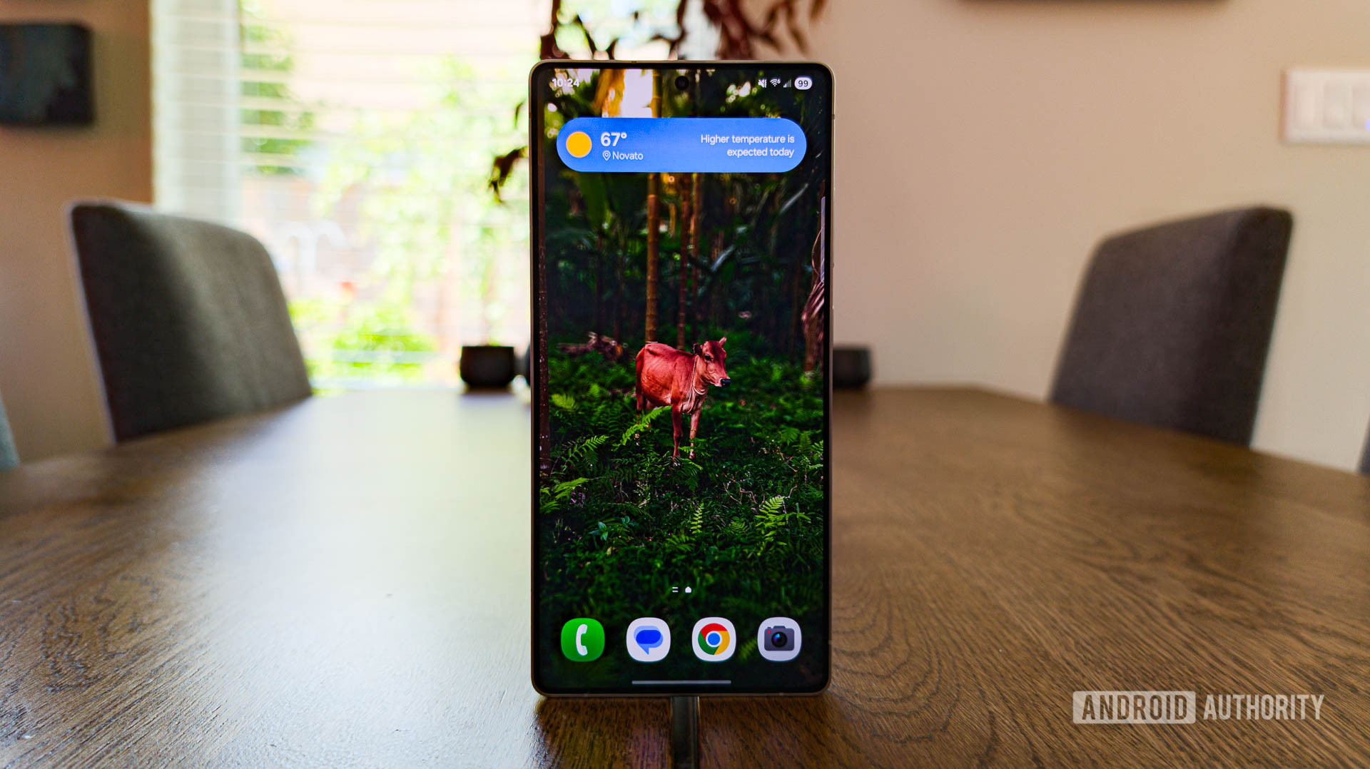 Papel de pantalla Miércoles: Fondos de pantalla de Android 2025-05-28