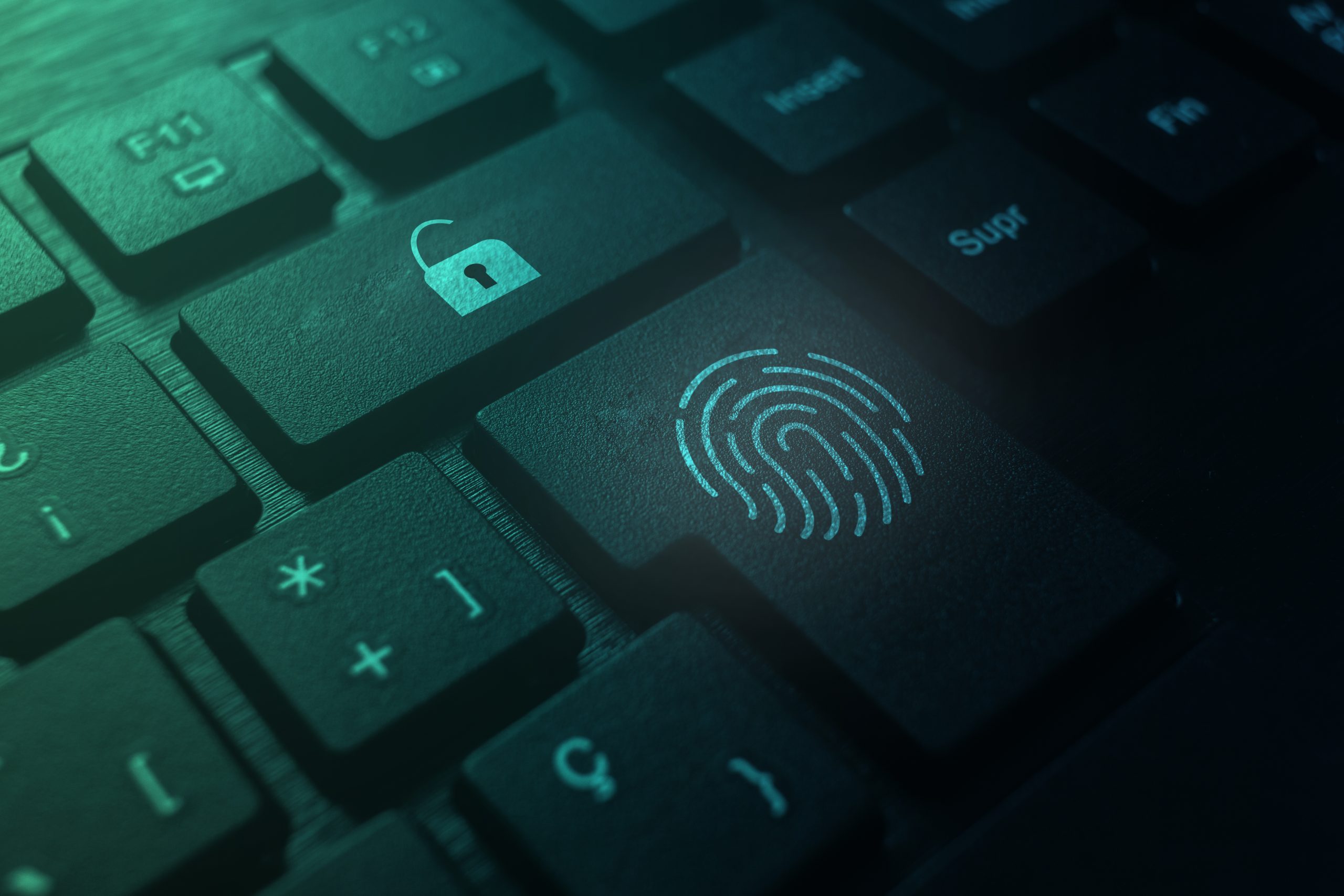 Los piratas informáticos están distribuyendo un administrador de contraseñas agrietado que roba datos, implementa ransomware