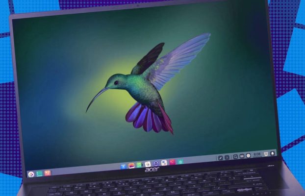 5 La mayoría de las distribuciones de Linux tipo Windows porque los viejos hábitos mueren duro