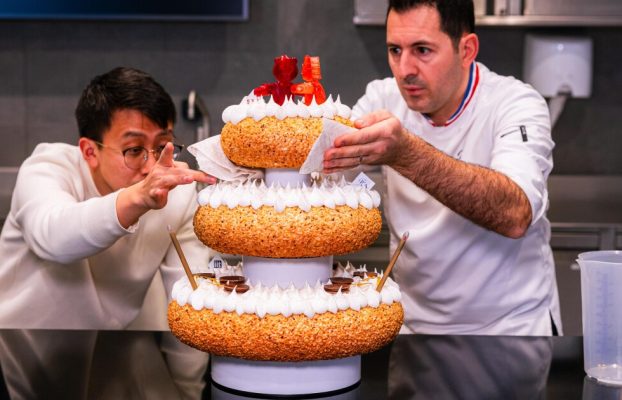 Los científicos revelan robocake con robots y baterías comestibles