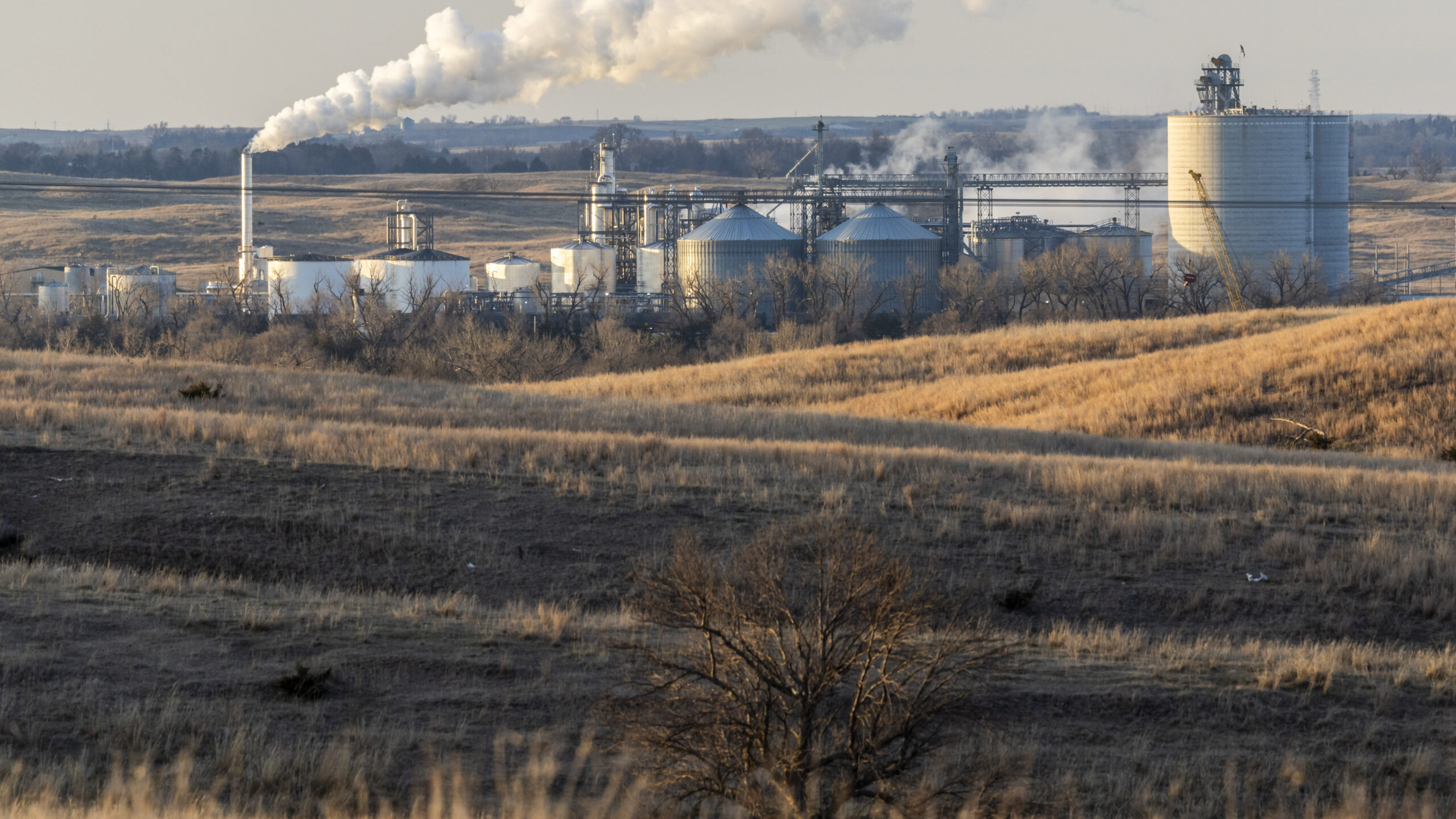 La política de biocombustibles ha sido un fracaso para el clima, afirma un nuevo informe