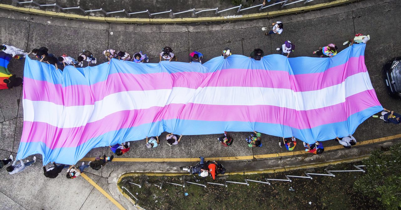 Cómo abogar por los derechos trans en su comunidad