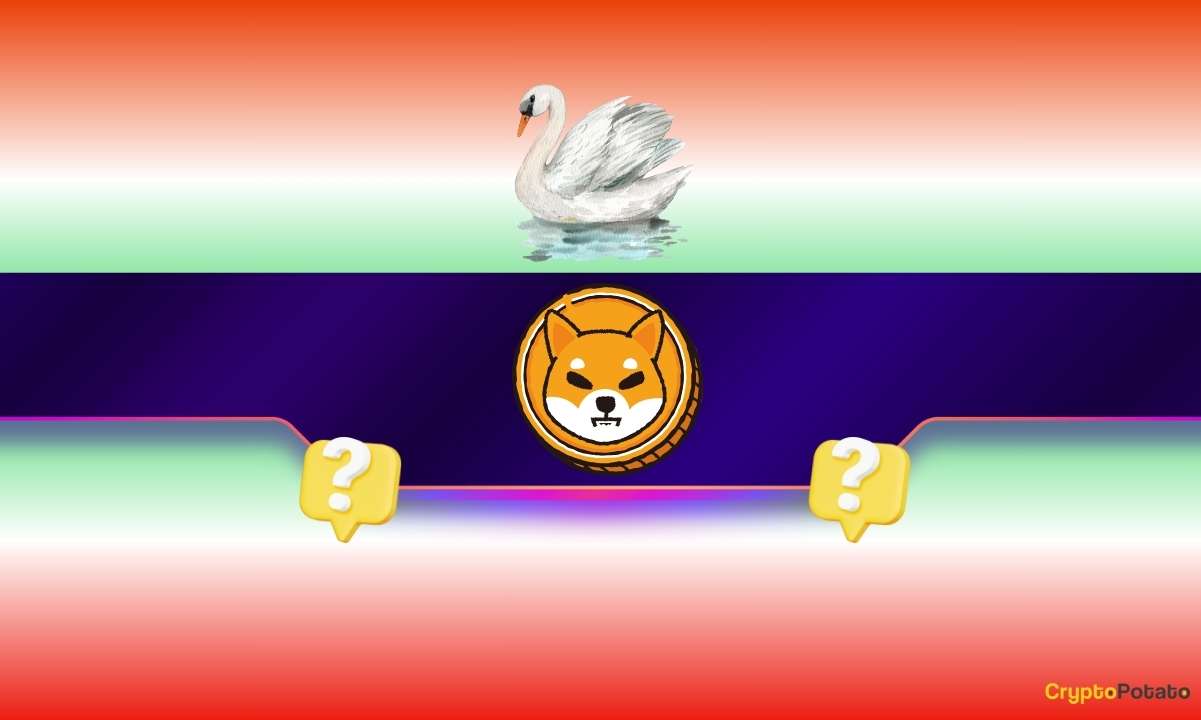 Estas son las mejores meme coins para invertir en caso de un evento White Swan