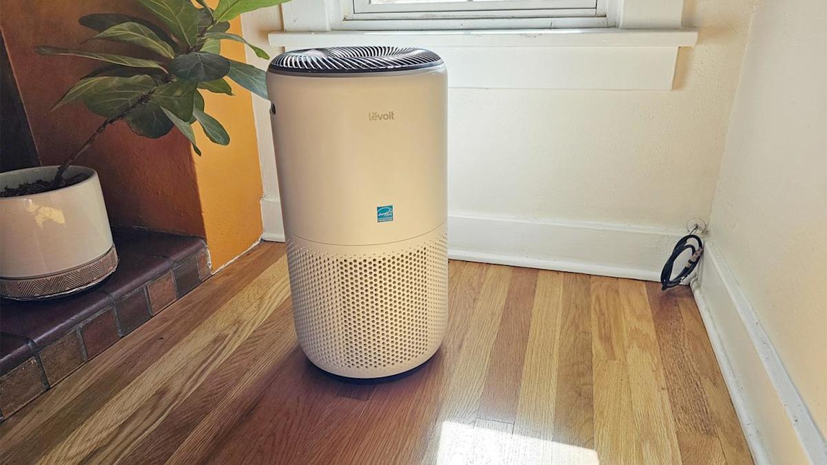 Las ofertas de Prime Day incluyen $ 37 de descuento en nuestro purificador de aire de Levoit favorito