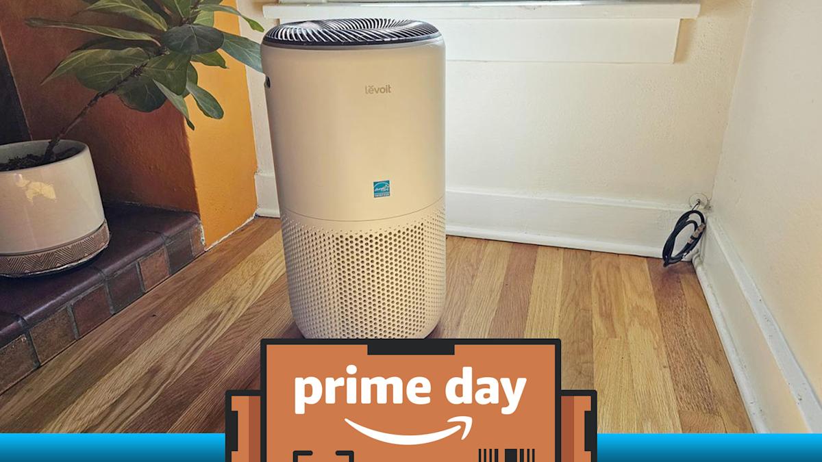 Recoja nuestro purificador de aire favorito mientras se descuida por $ 37 para Prime Day