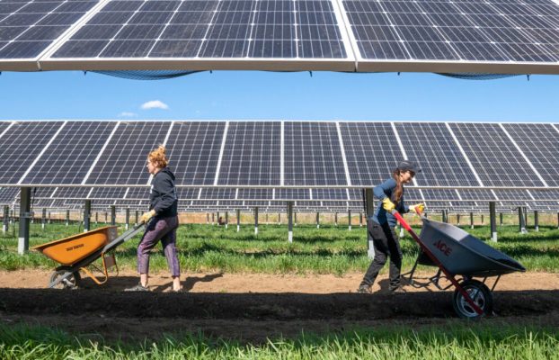 En el suroeste, los paneles solares pueden ayudar tanto a la fotovoltaica como a los cultivos