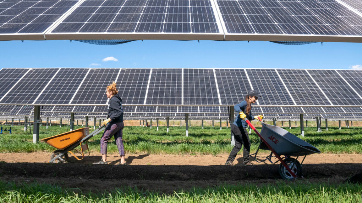 En el suroeste, los paneles solares pueden ayudar tanto a la fotovoltaica como a los cultivos