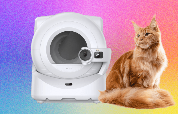 El Petkit Purobox Ultra tiene $ 250 de descuento para Prime Day