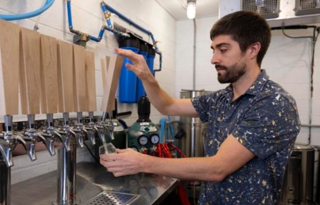 El arroz podría ser clave para elaborar una mejor cerveza sin alcohol