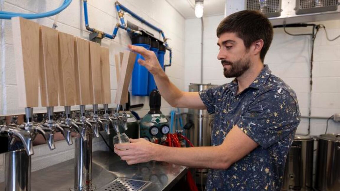 El arroz podría ser clave para elaborar una mejor cerveza sin alcohol