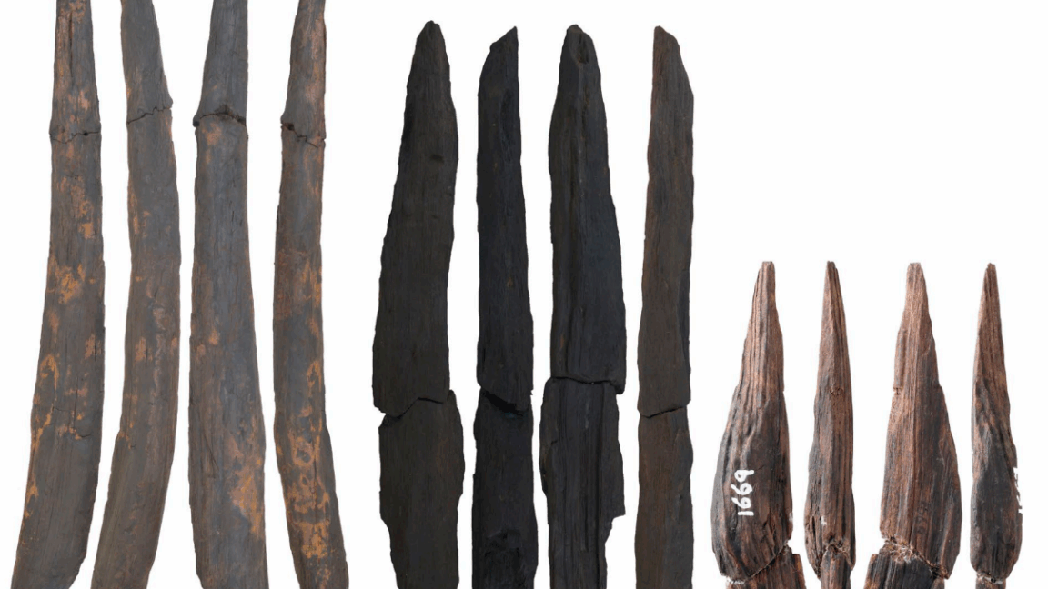 Las herramientas de madera más antiguas del este de Asia pueden provenir de cualquiera de las tres especies